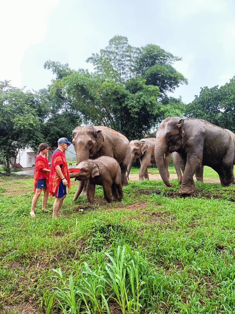Discovery-Thailand-Tour-17-Days-Elephant Sanctuary in Chiang Mai 15.jpg